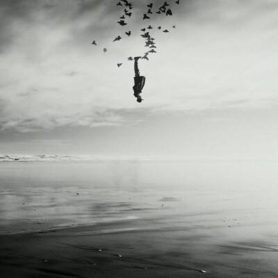 bb平台体育app官网